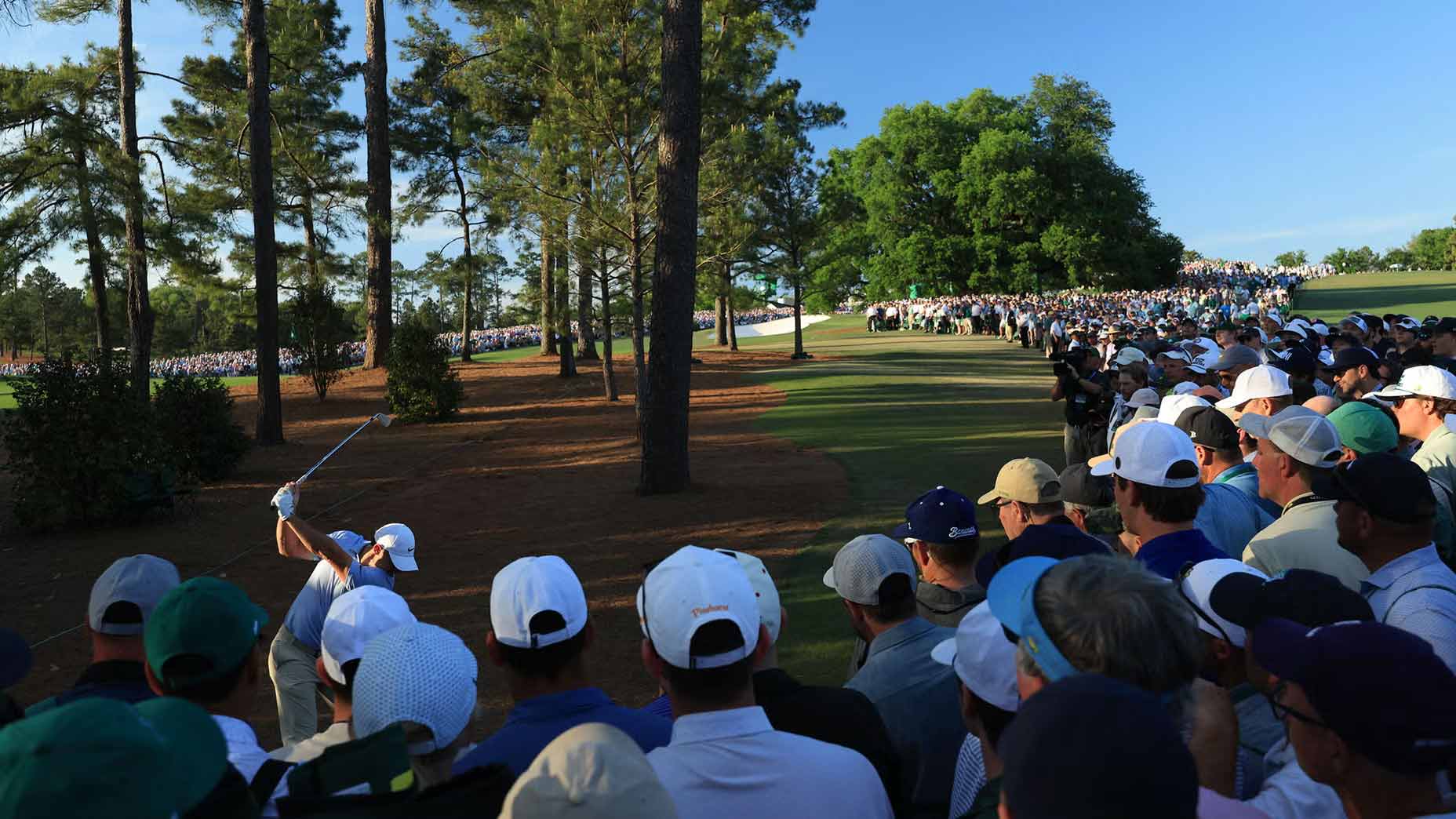 Rory McIlroy swings a club in a wooded area as a large crowd watches, standing closely together under tall pine trees on a sunny day.