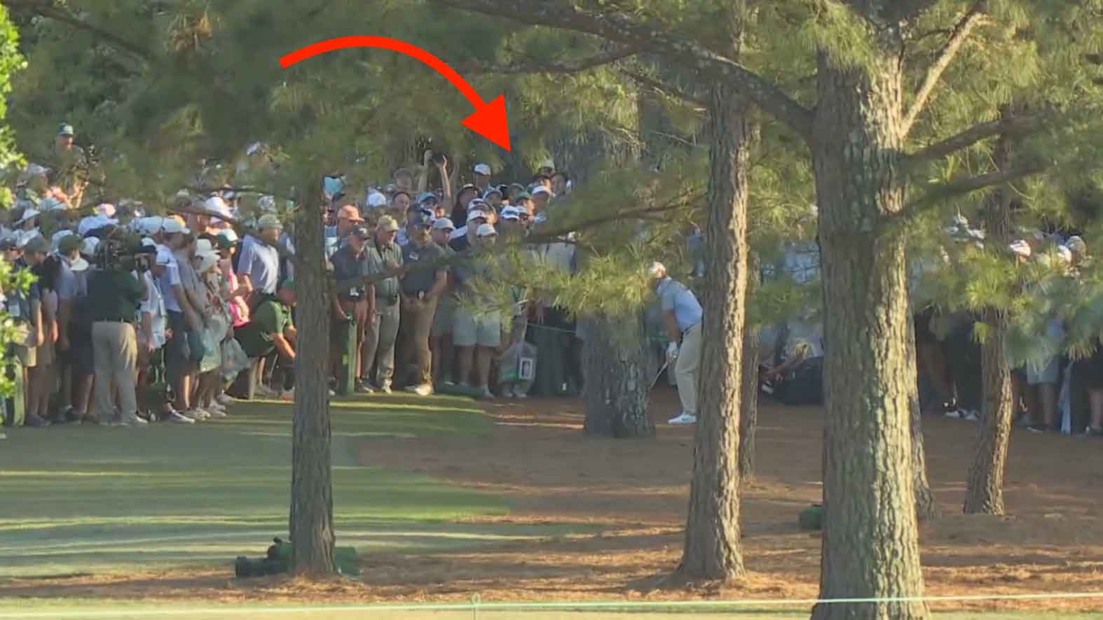 Rory mcilroy prepares to hit a shot from beneath pine trees as a large crowd watches in the background; a red arrow points toward the gallery, capturing one of those untold Masters stories for future reporters' notebooks.