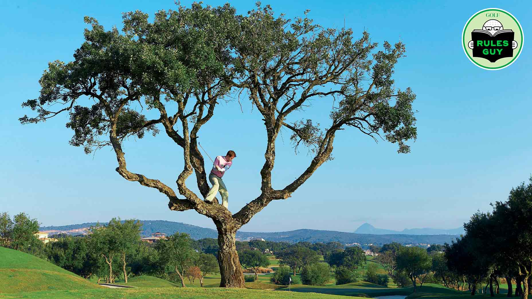 Rules Guy: Is it legal to lean on a tree for support while hitting?