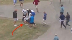 That U.S. Open fan who appeared to grab Rory McIlroy's ball? There's a plot twist