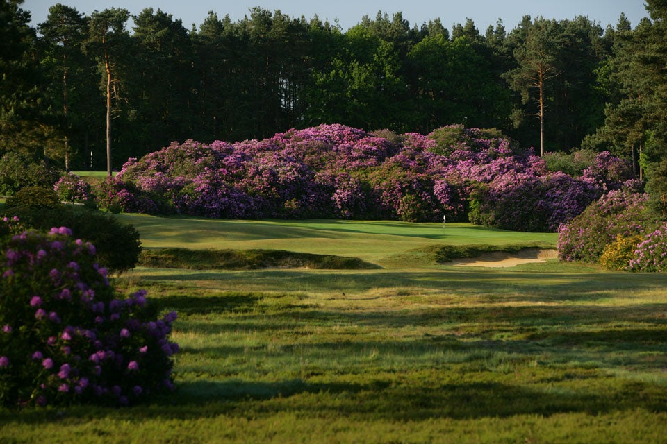 87. Swinley Forest